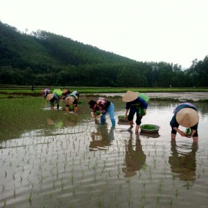 Chi Hội phụ nữ thôn Khe Mực xã Tân Dân tổ chức hoạt động giúp đỡ gia đình khó khăn
